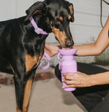 Dog Water Bottle for Walking