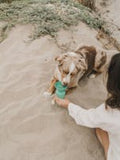 Bottled water is safe for dogs if the bottle does not contain any BPA