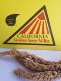 Millet for birds