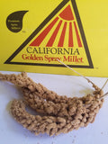 What is spray millet