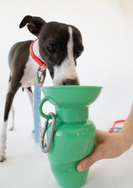 Dog Travel Water Bottle