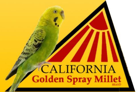 California Spray Millet