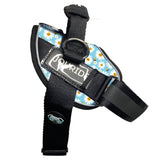 harness for small dogs