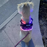 NEW! - LED Light Up Dog Harness 2.0 - Black