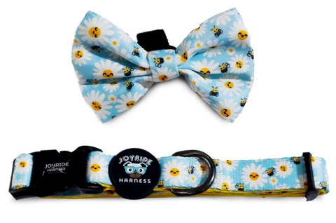 dog collar and bowtie