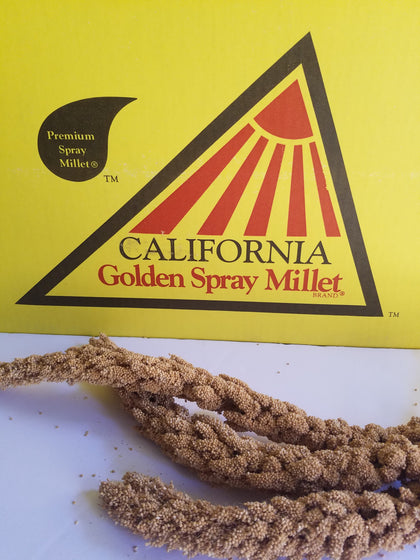 Millet for birds