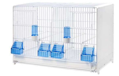 breeding cage for canaries