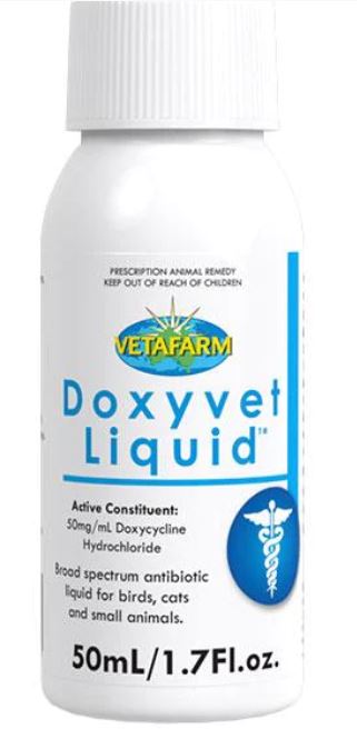 antibiotic for birds