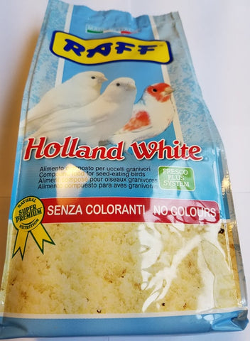 holland white